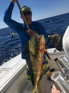 20-Pound Mahi