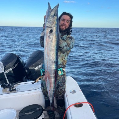 Florida Wahoo