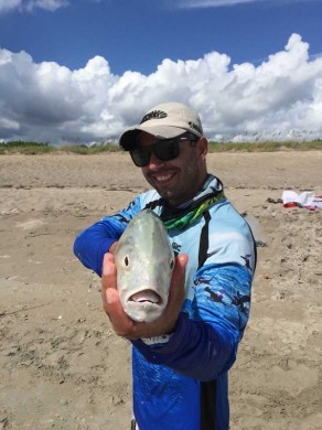 Jack Crevalle