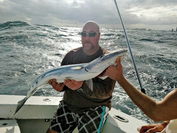 Nice Barracuda