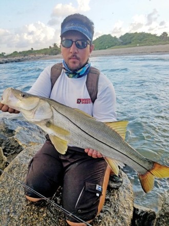 Chris Pascual caught this snook off Dania Beach with a live pilchard.