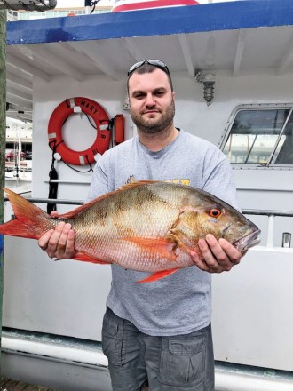 Big mutton snapper caught with Fishing Headquarters.