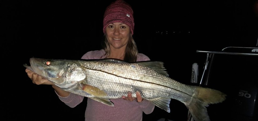 Snook season