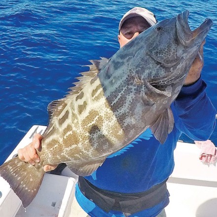 Capt. Eddy Medero caught this big black grouper on a live pinfish in 140 feet.