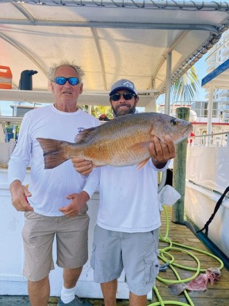 Big mangrove snapper caught aboard the Catch My Drift.