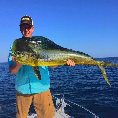 A 50-inch Mahi-Mahi