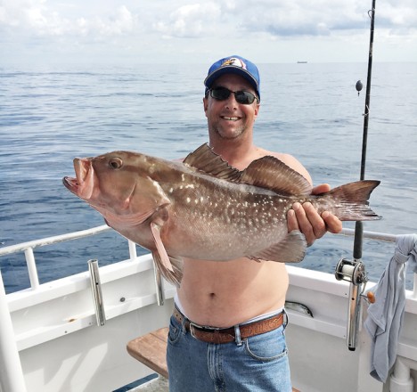 Nice Red Grouper