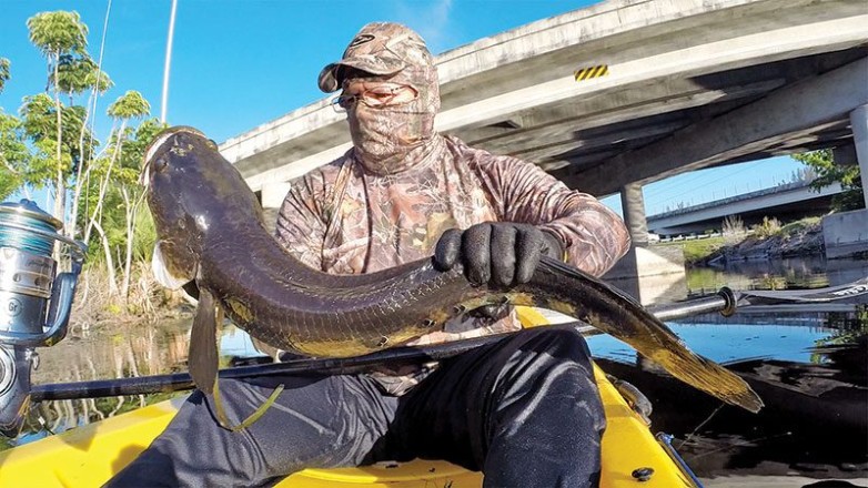 @kayakfrank with a coconut head bullseye snakehead.