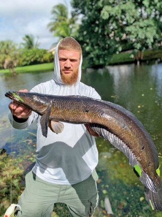 Chris Loft aka @fishkeeperchris enticed this slob of a snakehead with a Topwater frog.