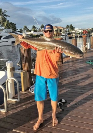 Michael Bright caught this nice cobia 3 miles off Hillsboro Inlet on a skirted trolling lure.