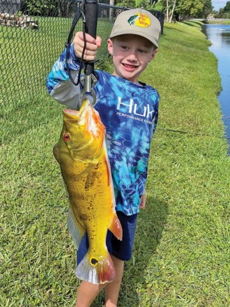 Six year old Michael Stevens scored a stud peacock bass on a live shiner