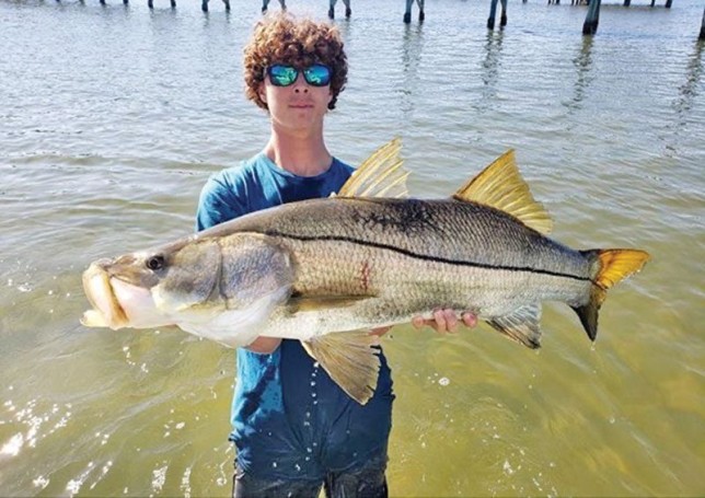 Chris Marconi caught a monster snook!