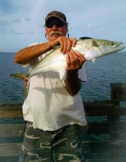 Jerry Spanish mackerel