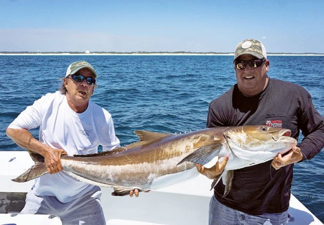 A nice Destin cobia...