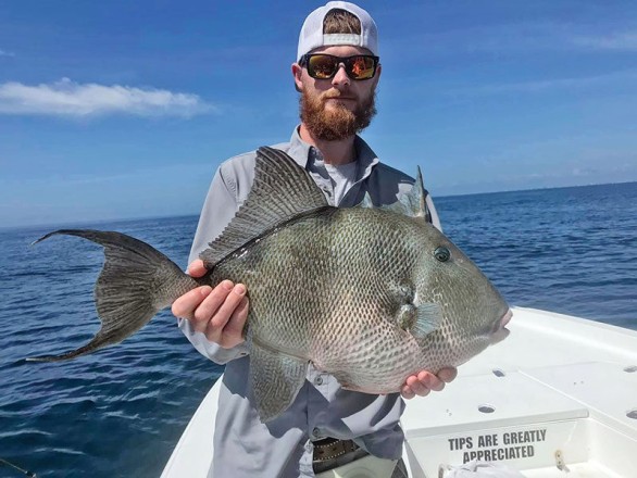 Capt Scott Fitzgerald of Madfish Charters putting his clients on the groceries with this giant triggerfish.