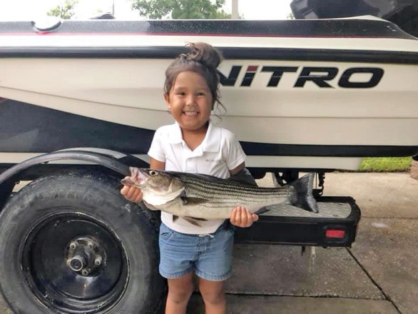 Julliette Samuelson hauled this striper to the boat trolling in East River with her dad, Knowles.