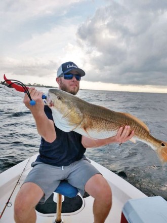 Nathan snatching on bull reds