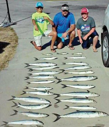 Spanish Mackerel Fun