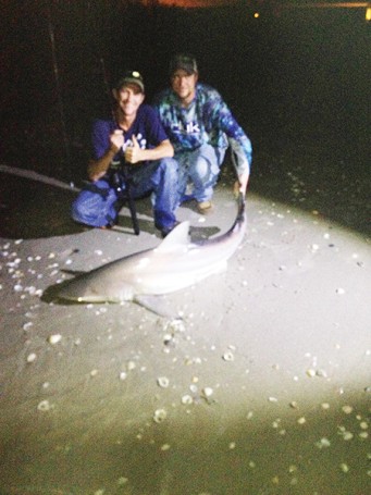 Brandon Gatewood and William Hawley with a nice Bull Shark caught at Sebastian Inlet on a floated out Jack Head