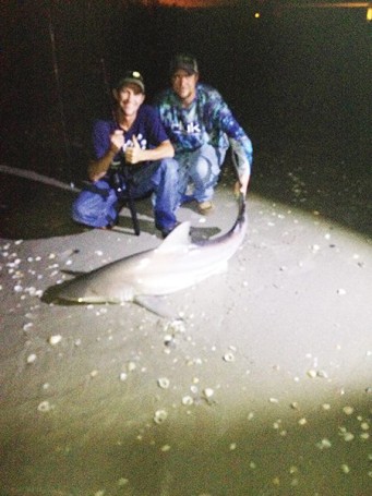 Brandon Gatewood and William Hawley with a nice Bull Shark caught at Sebastian Inlet on a floated out Jack Head