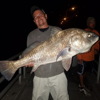 Black Drum