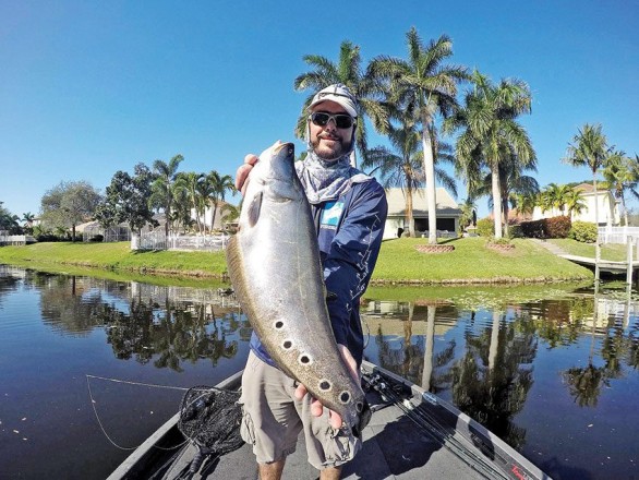 A big clown knife fish Patrick Gonzalez caught recently on lake Ida