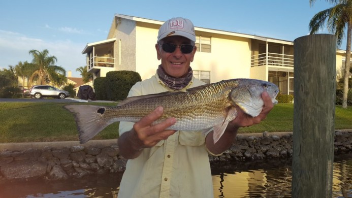 Vero Beach river redfish