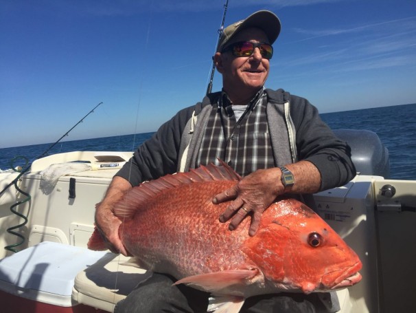 82 year old Elmer and his wife Deloris Weige from Rapid City South Dakota Latched on to this monster Red Snapper while fishing with Capt. Joe On Fin Factor Charters 2-17-17