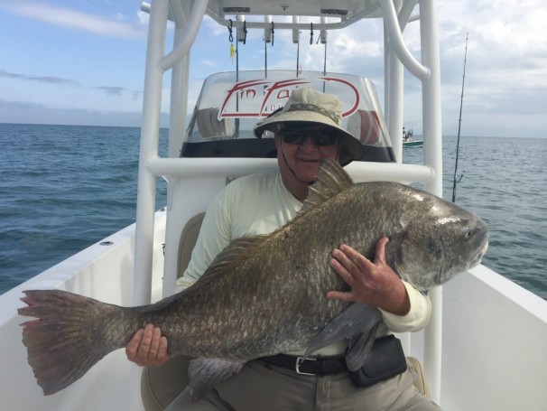 Bill McVittie with his 50 lb plus Black Drum caught off Cape Canaveral Florida 2-19-17 with Fin Factor Charters Capt Joe
