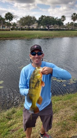 Steve Wayne with a 3 lb. 9 oz. peacock bass caught at the Flamingo Rd. canal in Pembroke Pines