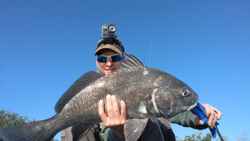 1st Sightcasted Black Drum