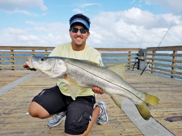 Dania Beach Pier Snook