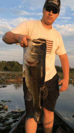 Monster bass