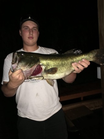 Big bass