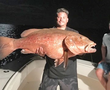 Kenny, from Carl's Bait and Tackle, caught this monster cubera snapper on a night fishing trip