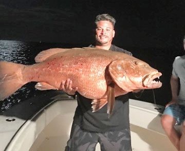 Kenny, from Carl's Bait and Tackle, caught this monster cubera snapper on a night fishing trip