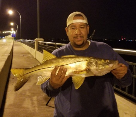 Nice fat snook