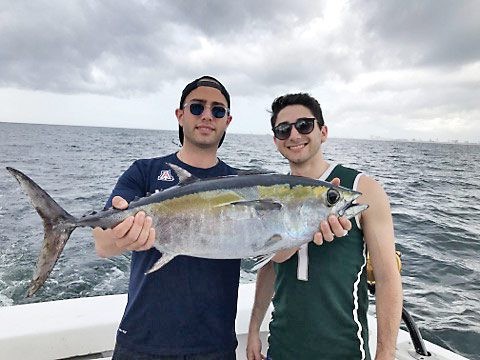 Solid blackfin tuna...