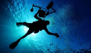 diving-spearfishing