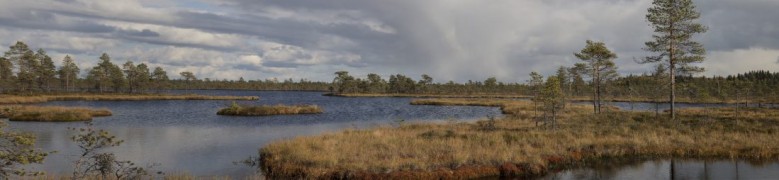Northern landscape from Finland bogs. Kauhaneva-Pohjankangas Nat
