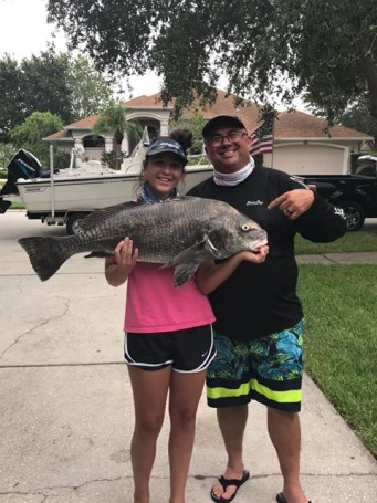This is a 30 pound black drum caught by Allison Worley with the Lee Miller on a live shrimp underneath the 528 bridge by Port Canaveral