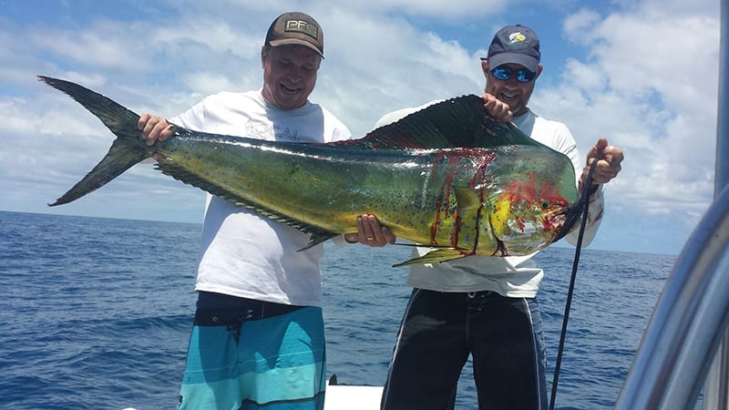 Waylon Cattee from Merritt Island. 53 lb. Mahi Mahi caught a couple miles offshore from Port Canaveral