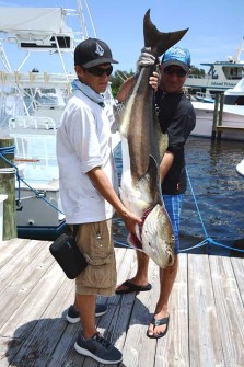 First Place Cobia 44lbs