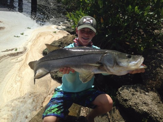 Palm City spillway snook