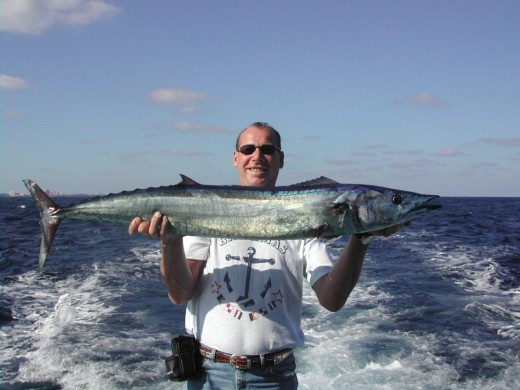 Bahamas Wahoo