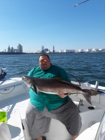 36.8 lb Cobia