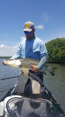The Legendary Snook Of The Backwater