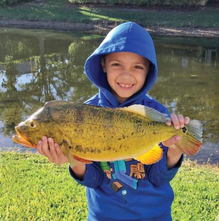 8-year-old Tyler Kroupa caught this nice peacock
bass on a baby bass colored Zoom Fluke.