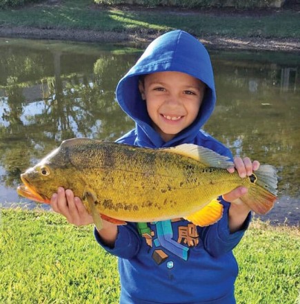 8-year-old Tyler Kroupa caught this nice peacock 
bass on a baby bass colored Zoom Fluke.