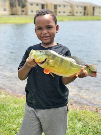 Six year old Sandro caught this peacock on a spinnerbait while fishing with his father, Luis.